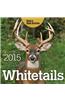 Whitetails 2015 Daily Calendar