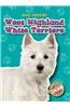 West Highland White Terriers