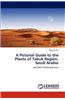 Pictorial Guide to the Plants of Tabuk Region, Saudi Arabia