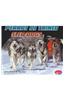 Perros de trineo/Sled Dogs