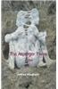 Asperger Twins a Play