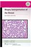 Biopsy Interpretation of the Breast