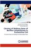 Cloning of Maltase Gene of Bacillus Licheniformis in Escherichia Coli