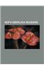 Nofv-Oberliga Seasons: 1990-91 Nofv-Oberliga, 1991-92 Nofv-Oberliga, 1992-93 Nofv-Oberliga, 1993-94 Nofv-Oberliga, 1994-95 Nofv-Oberliga, 199