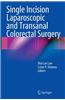 Single Incision Laparoscopic and Transanal Colorectal Surgery