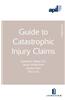 Apil Guide to Catastrophic Injury Claims: Second Edition