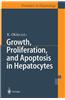 Growth, Proliferation, and Apoptosis in Hepatocytes