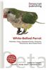 White-Bellied Parrot