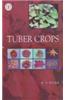 Tuber Crops