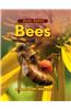 Buzz About Bees