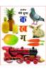 My Big Book of Hindi Alphabet