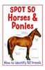 Spot 50 Horses and Ponies
