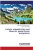 Carbon Sequestration and Fluxes of Global Forest Ecosystems