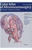 Color Atlas of Microneurosurgery