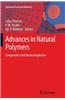 Advances in Natural Polymers: Composites and Nanocomposites