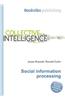 Social Information Processing