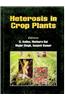 Heterosis In Crop Plants
