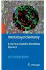 Immunocytochemistry