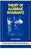 Theory of Algebraic Invariants