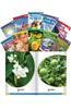 Time for Kids Informational Text Grade K Readers 30-Book Set