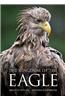 Kingdom of the Eagle
