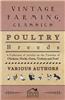 Poultry Breeds - A Collection of Articles on the Varieties of Chickens, Ducks, Geese, Turkeys and Fowl