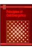 Cell Energetics, Principles of