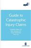 Apil Guide to Catastrophic Injury Claims: Second Edition