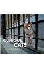 Curious Cats