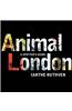 Animal London