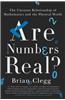 Are Numbers Real?: The Uncanny Relationship of Mathematics and the Physical World