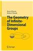 The Geometry of Infinite-Dimensional Groups