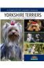 Yorkshire Terriers