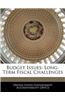 Budget Issues: Long-Term Fiscal Challenges