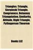Triangles: Triangle, Sierpinski Triangle, Congruence, Delaunay Triangulation, Similarity, Altitude, Right Triangle, Pythagorean T
