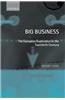 Big Business 'The European Experience in the Twentieth Century '