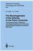 The Morphogenesis of the Arteries of the Pelvic Extremity: A Comparative Study of Mammals with Special Reference to the Tree Shrew Tupaia Belangeri (T