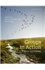 Groups in Action: Evolution and Challenges