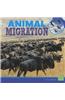 Animal Migration