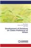 Development of Database on Codon Preference of Wheat