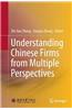 Understanding Chinese Firms from Multiple Perspectives