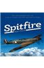 Spitfire Mark I P9374: The Extraordinary Story of Recovery, Restoration and Flight
