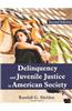 Delinquency and Juvenile Justice in American Society