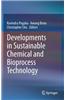 Sustainability and Process Development