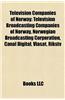Television Companies of Norway: Television Broadcasting Companies of Norway, Norwegian Broadcasting Corporation, Canal Digital, Viasat, Rikstv