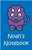 Noah's Notebook