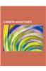 Carbon Nanotubes: Carbon Nanotube, Optical Properties of Carbon Nanotubes, Nanotube Nanomotor, Carbon Nanotube Field-Effect Transistor,