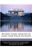 Budget Issues: Analysis of Long-Term Fiscal Outlook