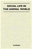 Social Life in the Animal World