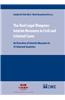 The Real Legal Weapons: Interim Measures in Civil and Criminal Cases: An Overview of Interim Measures in 14 Selected Countries